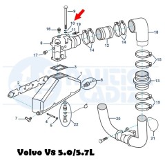 Arandela 3852002  Volvo V8  5.0 - 5.7L